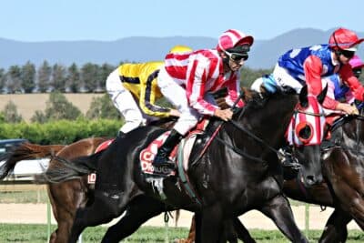 RMG Partners ATR on iGaming Race Archive Exchange