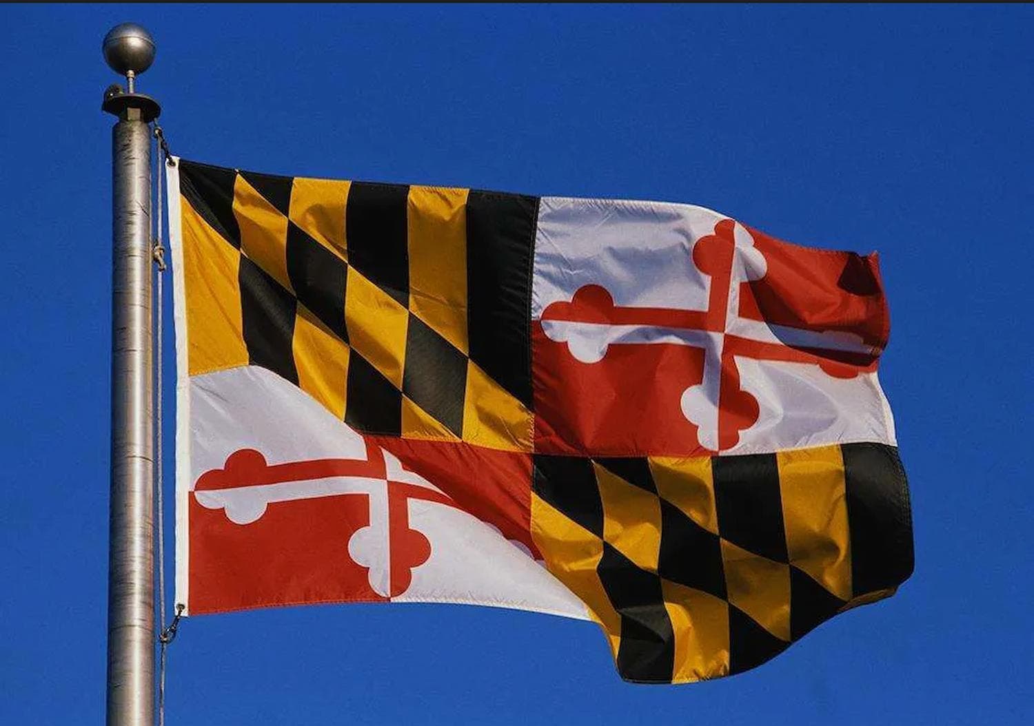 Maryland Is About to Ban Sweepstakes Casinos-What Players Need to Know