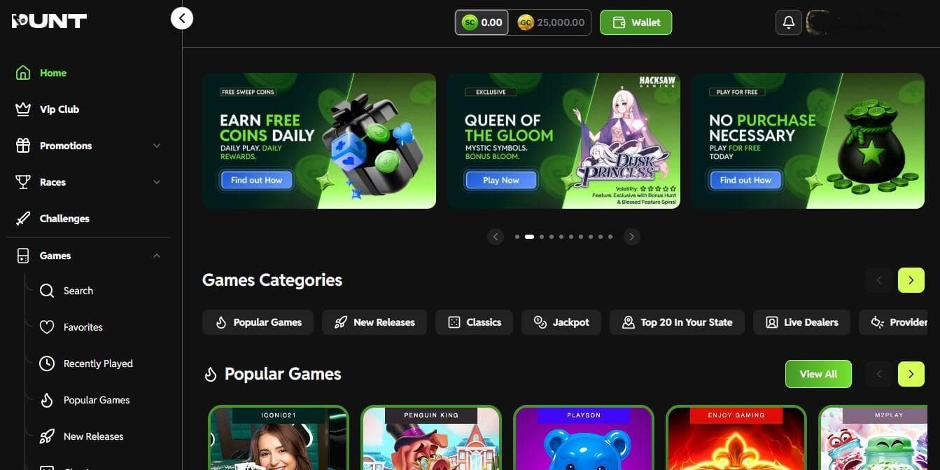 screenshot of punt casino site