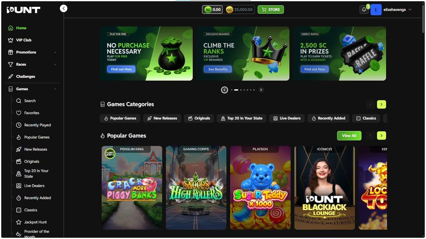 screenshot of punt casino home page