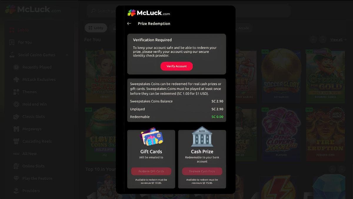 screenshot of mcluck store