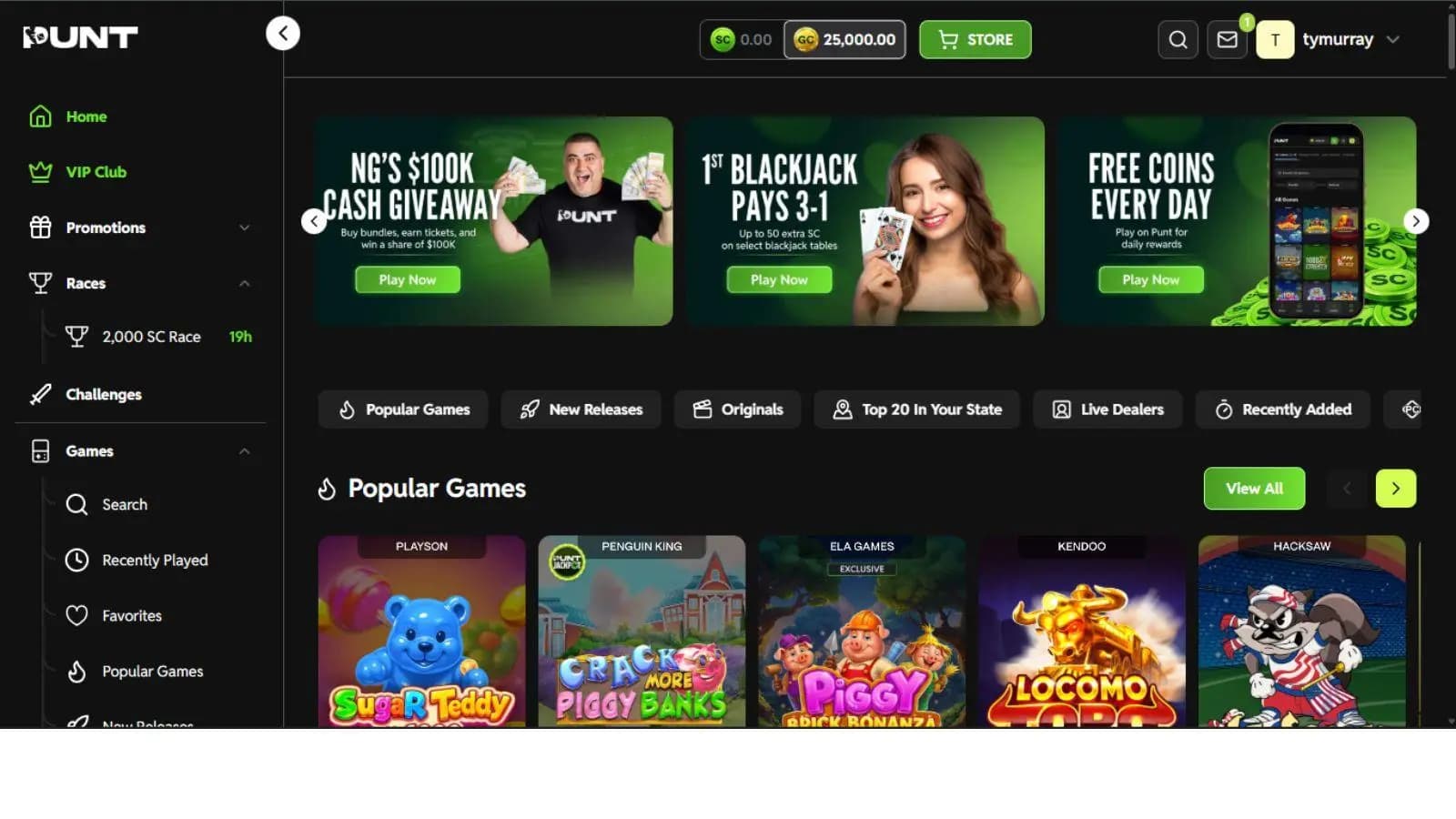 screenshot of punt casino home page